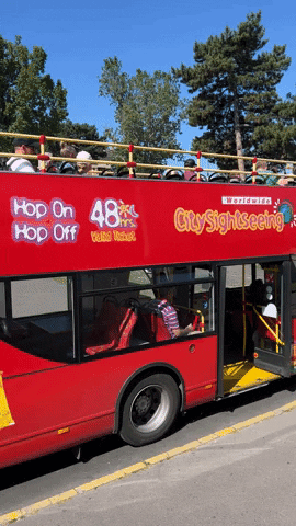 Red Bus Travel GIF by City Sightseeing