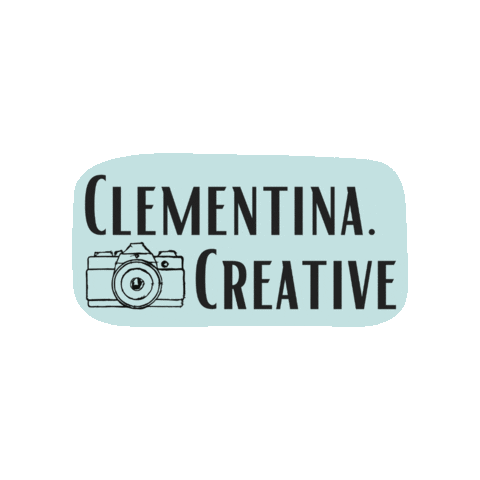 Artist Photography Sticker