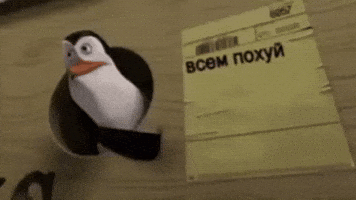 Czz GIF