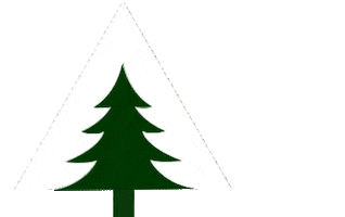 Baum Wald Sticker by GRUBE KG