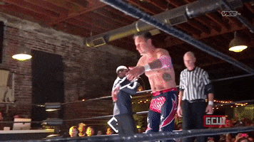 Take A Bow Wrestling GIF by DARK SIDE OF THE RING