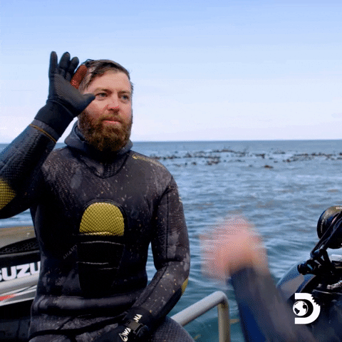 Discovery Win GIF by Shark Week