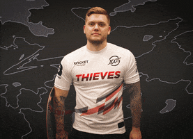 Gamer Protect GIF by 100 Thieves