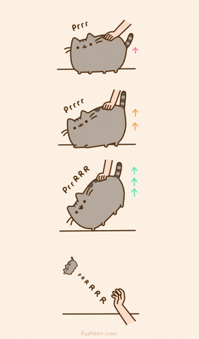 cat butts GIF by Pusheen