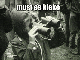 Leeuwarden Ffaa GIF by Fries Film & Audio Archief