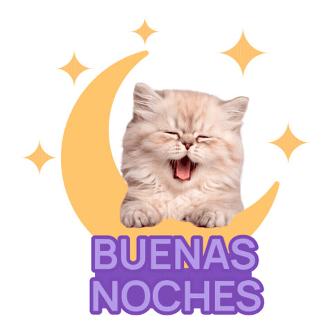 Cat Kitty Sticker by HICC Pet México