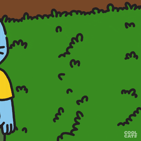Blue Cat Oops GIF by Cool Cats
