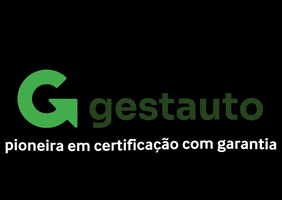 Certificacaocomgarantia GIF by gestauto