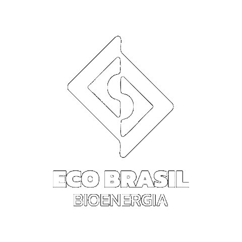 Eco Brasil Bioenergia Sticker
