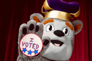 Vote Voting GIF by James Madison University