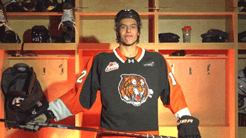Hockey Tiger GIF by Medicine Hat Tigers