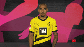 Come Here Borussia Dortmund GIF by Bundesliga