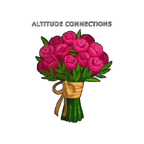 Sticker by Altitude Connections