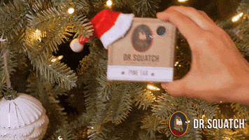 Elf On The Shelf Christmas GIF by DrSquatch