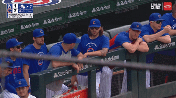 Chicago Cubs Baseball GIF