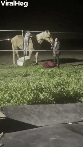 Kids Try And Fail To Get On Horse GIF by ViralHog