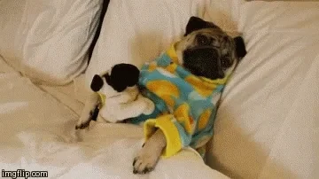 Good Night GIF