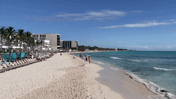 Playa Del Carmen Cancun GIF by CGTraveler - Carlos Garrido - Adventrgram