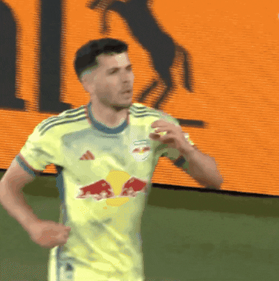 Red Bulls Love GIF by Major League Soccer