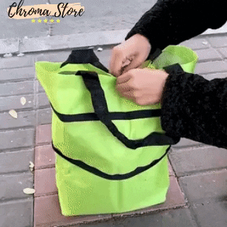 GIF animado