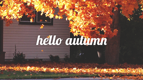 Képtalálat a következőre: „hello autumn gif”