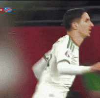Algeria GIF