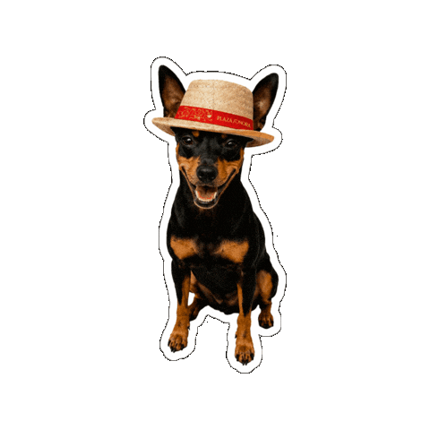 Minipincher Sticker by Plaza Sonora
