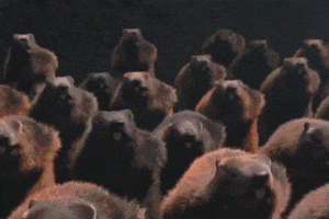 Wild Love Army GIF by ENSI