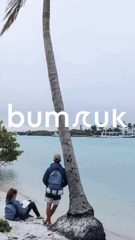 GIF by Bumruk