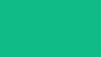 Deutsche Sportjugend (dsj) im Deutschen Olympischen Sportbund GIF