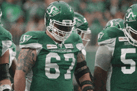 Roughrider GIFs - Get the best GIF on GIPHY