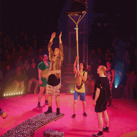 Flip Chair GIF by Circus I love you