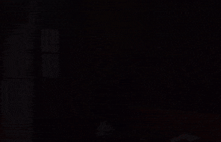 University Of Houston Basketball GIF by Coog Mania