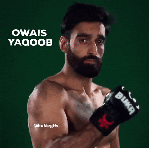 Haklegifs GIF