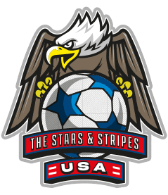 United States Of America Football Sticker by Avery Dennison