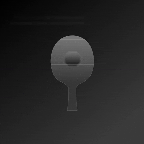 Table Tennis Racket GIF by STIGA Sports