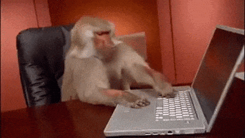 Wifi Office Monkey GIF