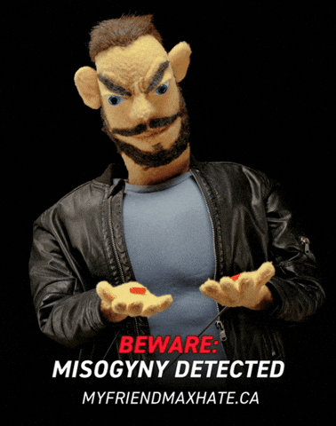 Misogyny GIF