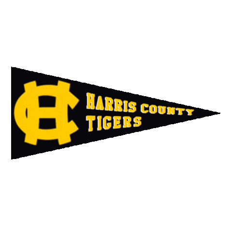 Flag Football Ghsa Sticker by GPB Sports