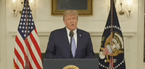 Donald Trump GIF by GIPHY News - Find & Share on GIPHY
