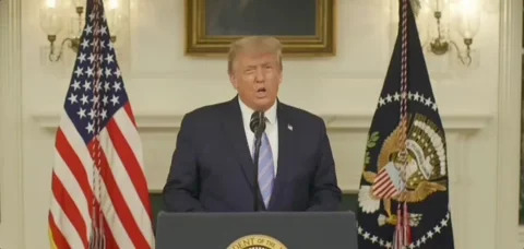 Donald Trump GIF