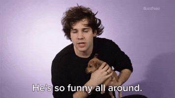 He Is So Funny All Around GIF by BuzzFeed