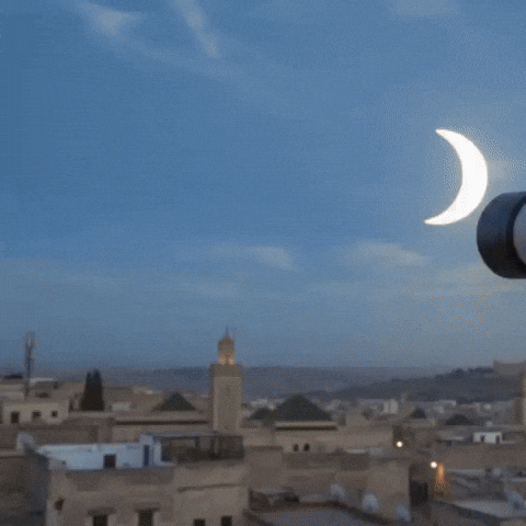Solaire GIF