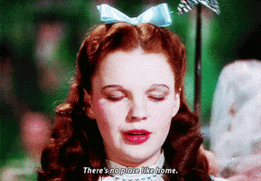 The Wizard Of Oz Home GIF