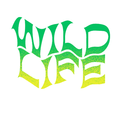 Wild Life Kstn Sticker by Keystone Church
