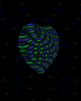 GIF