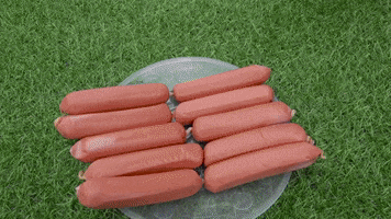 ExperimenMeatGrinder funny meat sausage experiment GIF