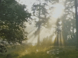 Good Morning GIF by GIPHY Studios 2021