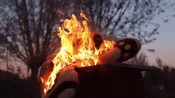 200.gif?cid=fc005b08207403a57543875f8a2536f68736345ddb2fd913&rid=200.gif&ct=g