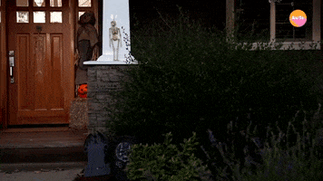 Halloween As Is GIF by BuzzFeed
